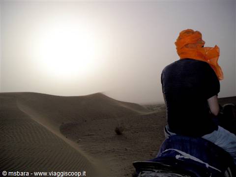 nel deserto del rajasthan