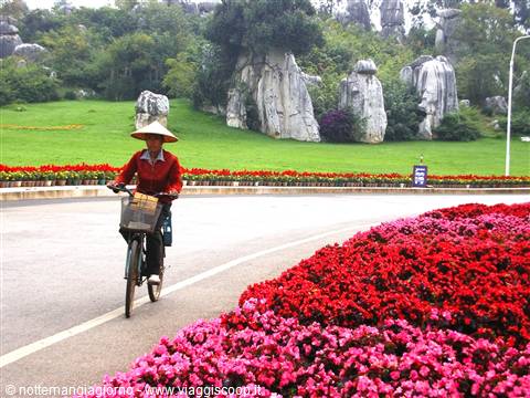 Kunming -foresta di pietra
