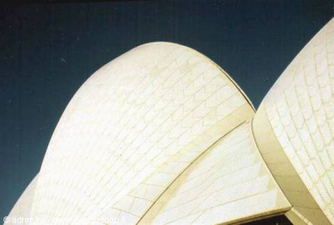 Sydney - Opera House - particolare