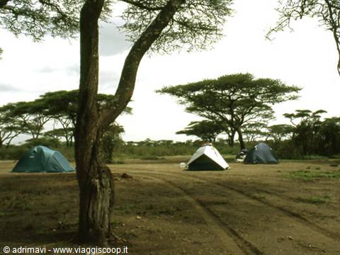 campo presso il Lago Ndutu