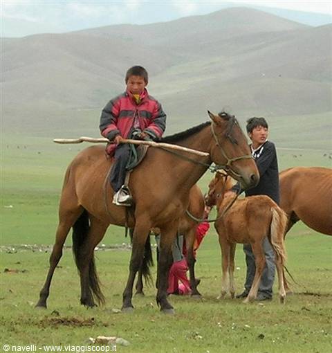 Cavalieri pastori mongoli