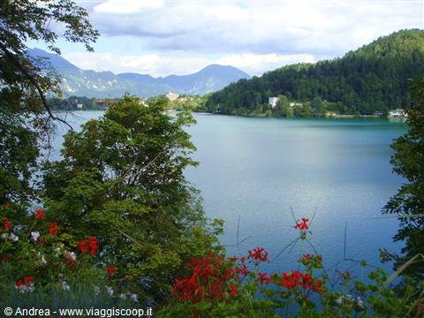 Bled lake from the Bled isand