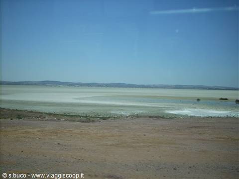 il lago di sale a tunisi