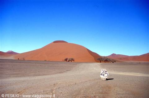 DESERTO DEL NAMIB - SOUSSUSVLEI DUNA 45