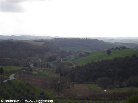 Le colline nelle vicinanze di Trequanda, verso Siena