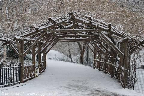 Central Park sotto la neve