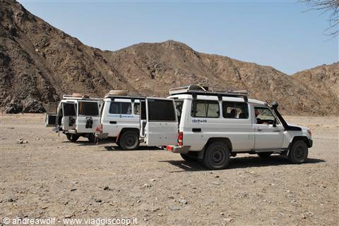 Le jeep utilizzate per l'escursione nel deserto