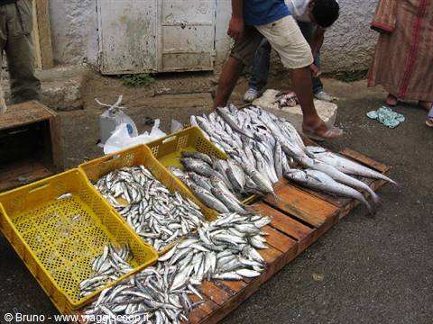 Rabat - Mercato del pesce