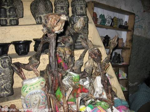 Feti di lama mummificati sulle bancarelle di La Paz