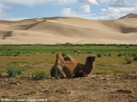 Deserto del Gobi-Dune di Khongoryn Els