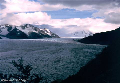 the Gray glacier