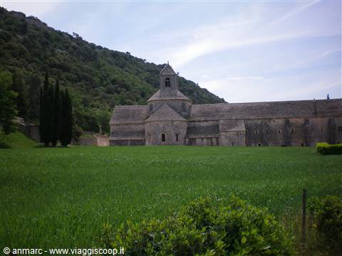 abbazia de senanque