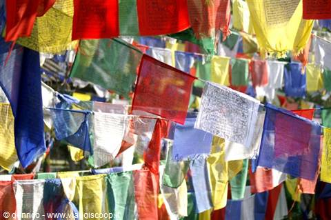 Bandiere di Preghiera Tibetane in Himachal Pradesh