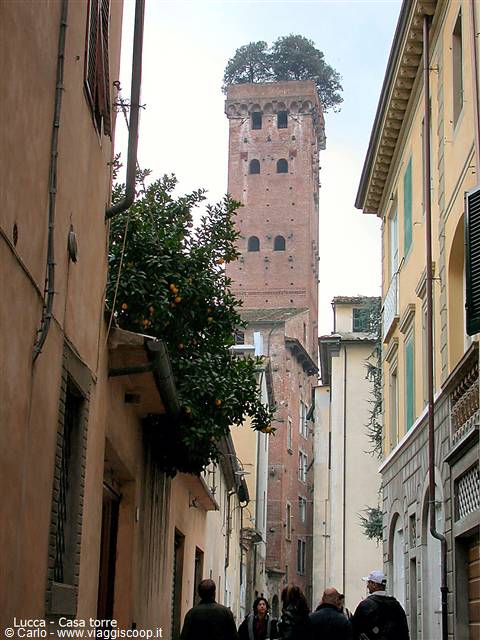 Lucca - Casa torre