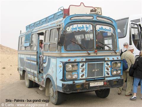 Siria - Palmira - Bus Gran Turismo