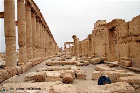 Siria - Palmira - la via Colonnata