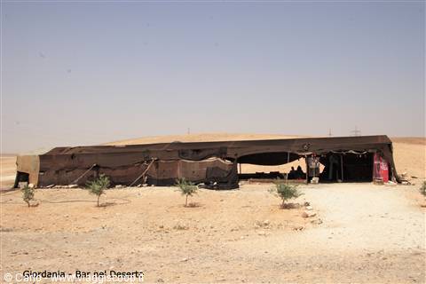Giordania - Bar nel deserto