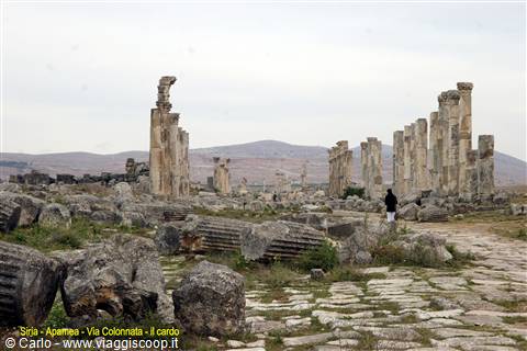 Siria - Apamea - la via colonnata - il cardo