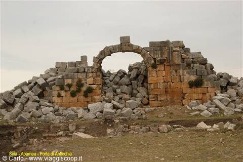 Siria - Apamea - porta di Antiochia