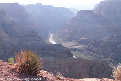  Skywalk - Gran Canyon