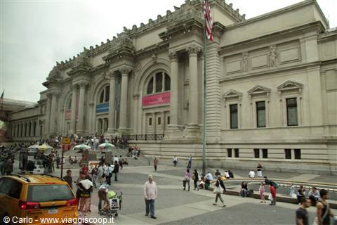 American Museum of natural History