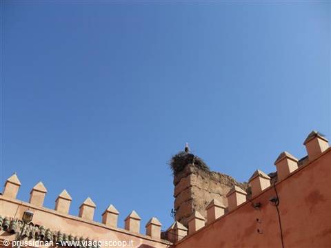 una cicogna sulle mura di Marrakech