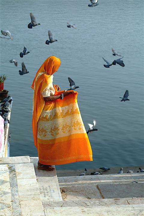 sul lago di Pushkar