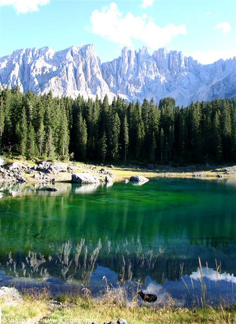 Latemar e lago di Carezza (BZ) - Alto Adige