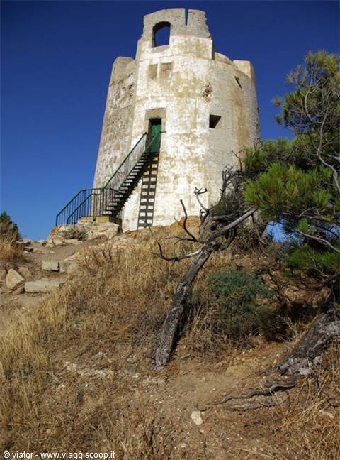 Torre Chia