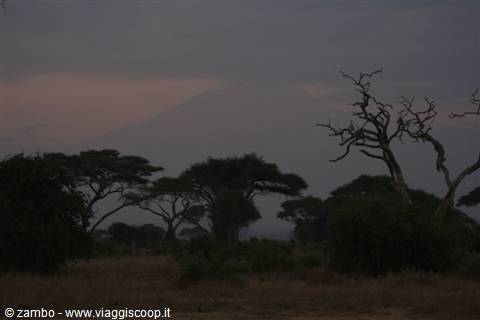 Kilimanjaro, un raro scorcio all'alba