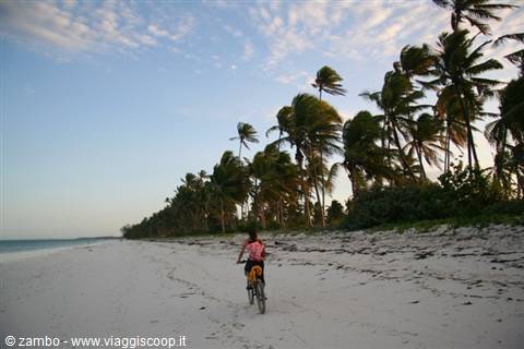 In bici sulla spiaggia