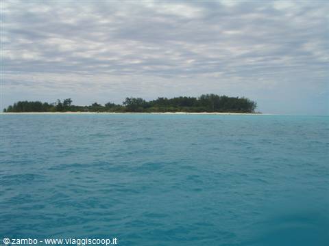 Diving: Mnemba Island