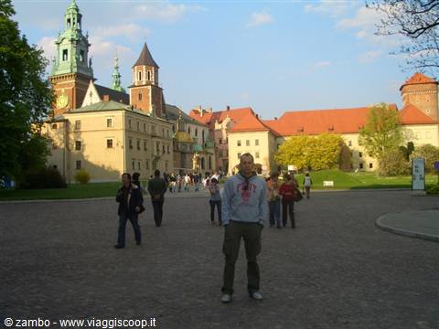 Il castello del Wawel
