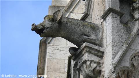 Guardiano cattedrale