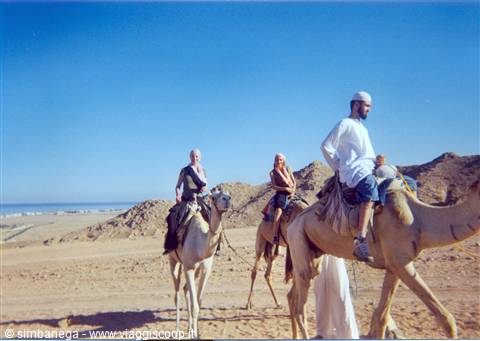 dal mare al deserto verso il Sinai