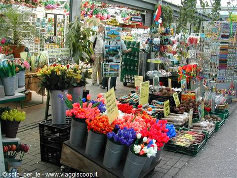 mercato dei fiori
