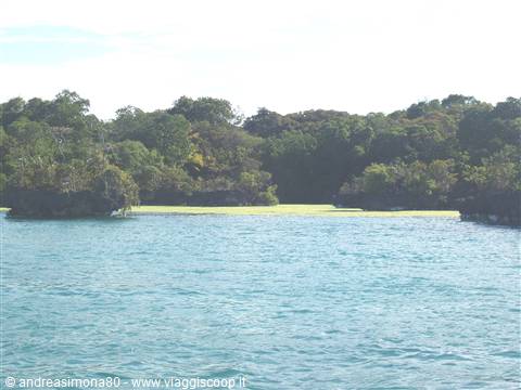 Laguna delle Mangrovie