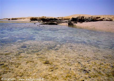 Al Quseir - La barriera corallina