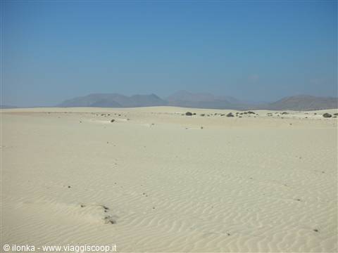 Le dune