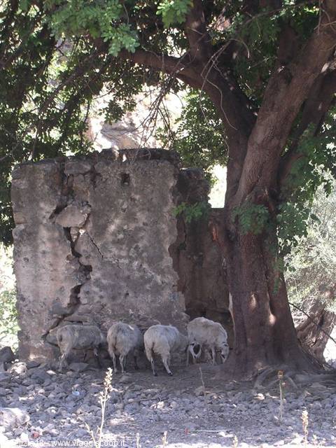 Creta - Gole di Samaria