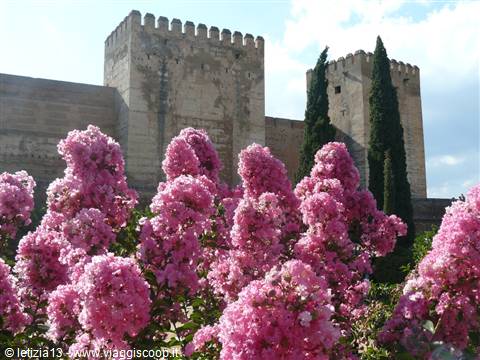 Granada - Alhambra, L'Alcazar