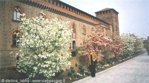Pavia: il castello
