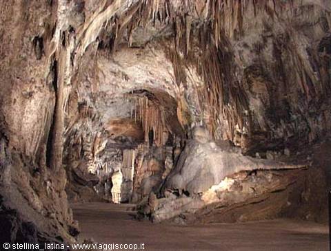 le bellissime grotte, ecco il sito ufficiale: http://www.postojnska-jama.si/it/grotta.htm
