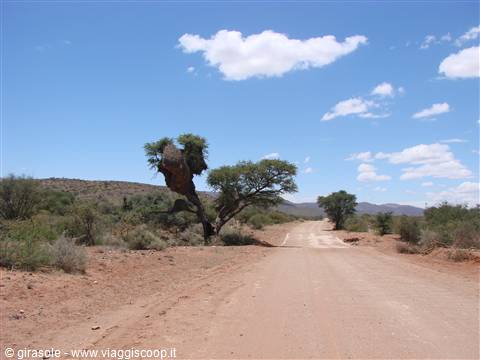 ancora strada sterrata x raggiungere la Witsand Nature Reserve