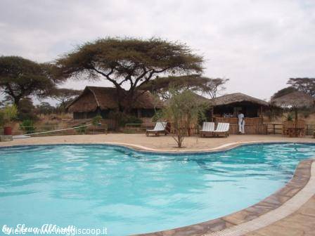 Amboseli - Kibo Camp, piscina