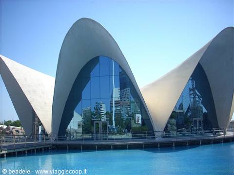 Valencia-Museo delle arti e della scienza