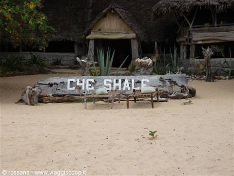 Che Shale