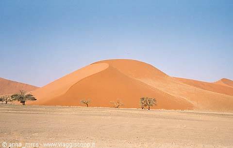 Dune 45 - Namib Desert