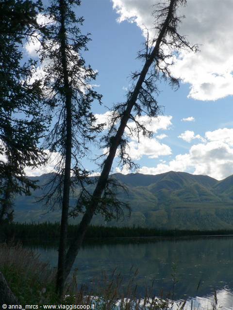 Lake Creek - Yukon