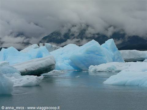 Icebergs - Prince William Sound